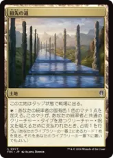 (077)《祖先の道/Path of Ancestry》[FRC] 土地C