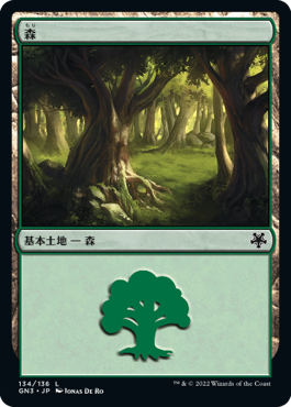 (134)《森/Forest》[GN3] 土地