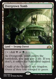【Foil】《草むした墓/Overgrown Tomb》[GRN] 土地R