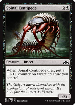 《背骨ムカデ/Spinal Centipede》[GRN] 黒C