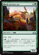 【Foil】《絡み合うモウセンゴケ/Grappling Sundew》[GRN] 緑U