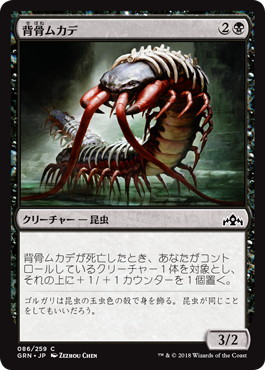 【Foil】《背骨ムカデ/Spinal Centipede》[GRN] 黒C
