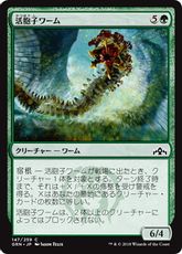 【Foil】《活胞子ワーム/Vigorspore Wurm》[GRN] 緑C