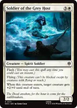 Soldier of the Grey Host