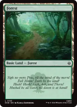 Forest