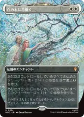 【Foil】(014)■ボーダーレス■《白の木に花開く/Flowering of the White Tree》[HOC] 白R