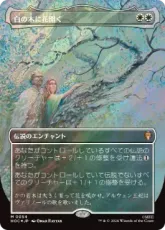 【サージ・Foil】(054)■ボーダーレス■《白の木に花開く/Flowering of the White Tree》[HOC] 白R