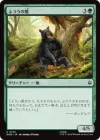 ふつうの熊