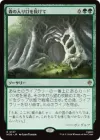 森の入り口を抜けて