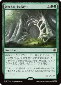 森の入り口を抜けて