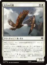 (164)《北方の大鷲/Eagles of the North》[HOC] 白C