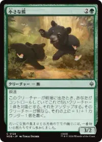 小さな熊