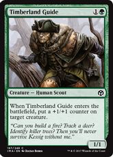 【Foil】《森林地の先達/Timberland Guide》[IMA] 緑C