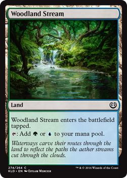 《森林地の小川/Woodland Stream》[KLD] 土地C