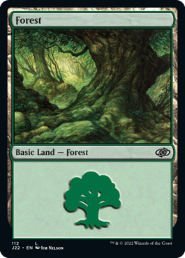 (112)《森/Forest》[J22] 土地