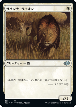 (237)《サバンナ・ライオン/Savannah Lions》[J22] 白U