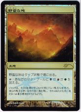 【Foil】《野蛮な地/Savage Lands》(FNM)[流星マーク] 土地U