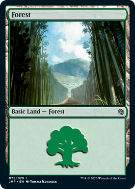 (075)《森/Forest》[JMP] 土地