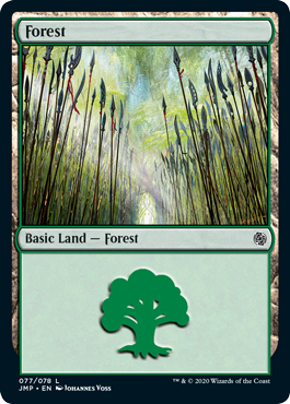 (077)《森/Forest》[JMP] 土地