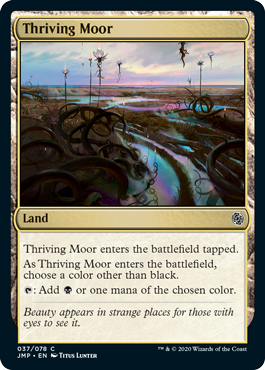 《興隆する湿地帯/Thriving Moor》[JMP] 土地C