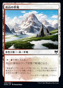 (248)《高山の草地/Alpine Meadow》[KHM] 土地C