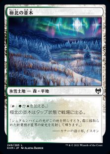 (249)《極北の並木/Arctic Treeline》[KHM] 土地C