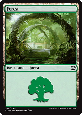 (262)《森/Forest》[KLD] 土地