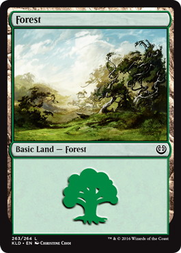 (263)《森/Forest》[KLD] 土地