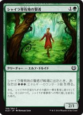 【Foil】《シャイラ専有地の賢者/Sage of Shaila's Claim》[KLD] 緑C