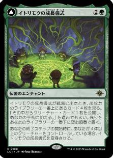 【Foil】(188)《イトリモクの成長儀式/Growing Rites of Itlimoc》/《太陽の揺籃の地、イトリモク/Itlimoc, Cradle of the Sun》[LCI] 緑R