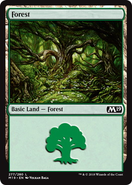 【Foil】(277)《森/Forest》[M19] 土地