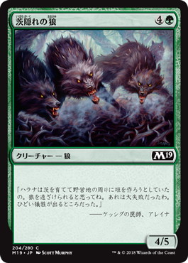【Foil】《茨隠れの狼/Thornhide Wolves》[M19] 緑C