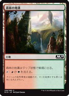 《森林の地溝/Timber Gorge》[M19] 土地C