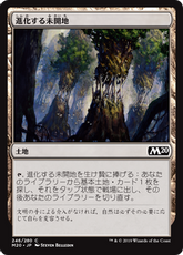 《進化する未開地/Evolving Wilds》[M20] 土地C