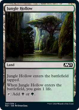 【Foil】(247)《ジャングルのうろ穴/Jungle Hollow》[M21] 土地C