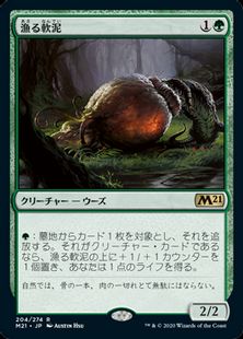 【Foil】■プレリリース■《漁る軟泥/Scavenging Ooze》[M21-PRE] 緑R