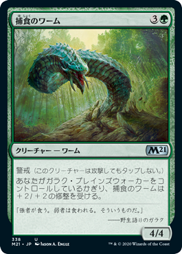 338)《捕食のワーム/Predatory Wurm》[M21] 緑U | 日本最大級 MTG通販