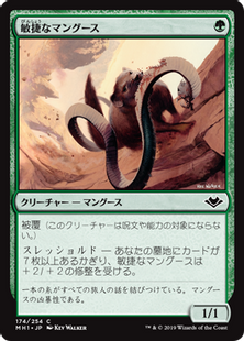敏捷なマングース　日本語　foil 174)《敏捷なマングース/Nimble Mongoose》[MH1] 緑C | 日本最大級 MTG