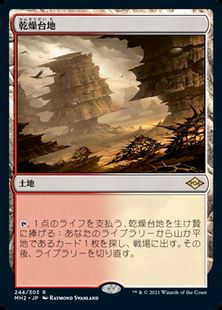 244)《乾燥台地/Arid Mesa》[MH2] 土地R | 日本最大級 MTG通販 