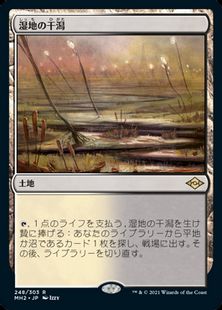 (248)《湿地の干潟/Marsh Flats》[MH2] 土地R