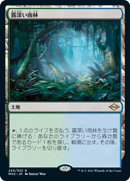 Foil】《霧深い雨林/Misty Rainforest》[ZEN] 土地R | 日本最大級 MTG 