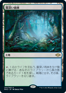 250)《霧深い雨林/Misty Rainforest》[MH2] 土地R | 日本最大級 MTG