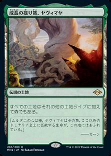 (261)《成長の揺り篭、ヤヴィマヤ/Yavimaya, Cradle of Growth》[MH2] 土地R