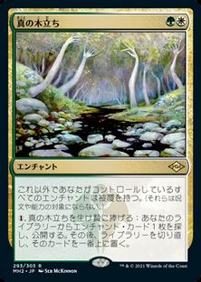 (293)《真の木立ち/Sterling Grove》[MH2] 金R