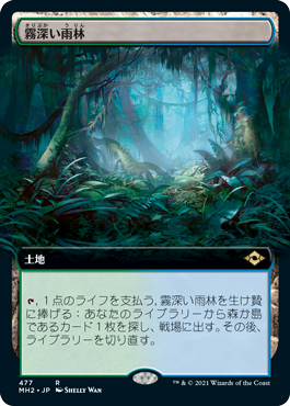 Foil】《霧深い雨林/Misty Rainforest》[EXP] 土地R | 日本最大級 MTG