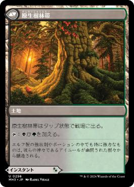原生樹林帯