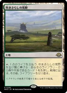【Foil】(235)■プレリリース■《吹きさらしの荒野/Windswept Heath》[MH3] 土地R