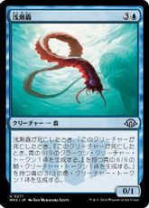 【Foil】(271)《浅瀬蟲/Reef Worm》[MH3] 青U