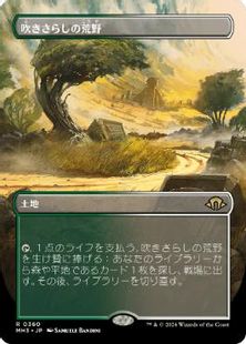 Foil】(360)□ボーダーレス□《吹きさらしの荒野/Windswept Heath 