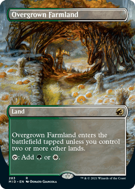 【Foil】(283)■ボーダーレス■《草茂る農地/Overgrown Farmland》[MID-BF] 土地R